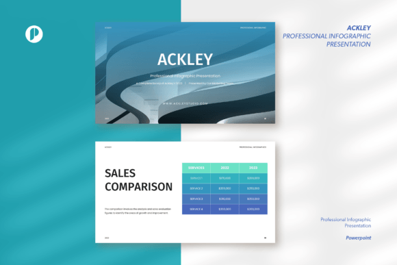 Reporting Project Progress: How Professional Infographic Presentations Improve Communication