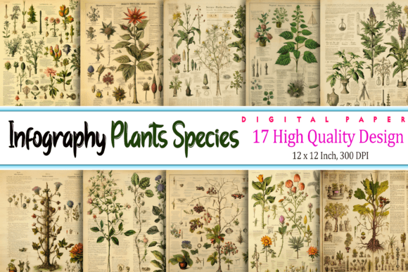 The Visual Language of Nature: Infographic Plants Species in Modern Digital Design