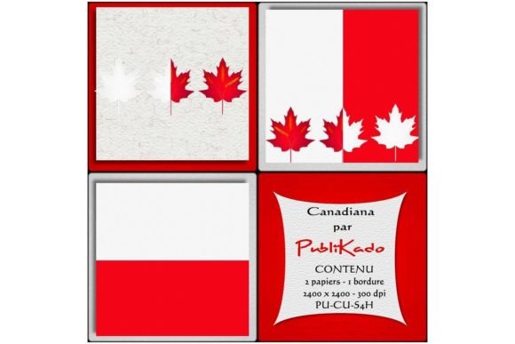 Understanding the Canadiana 301RP Digital Asset Collection: A Comprehensive Resource